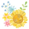 向日葵