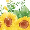 ひまわり（8月）