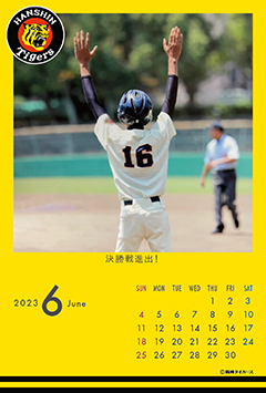 阪神タイガース丸虎ロゴのこよみフォトカレンダーあり