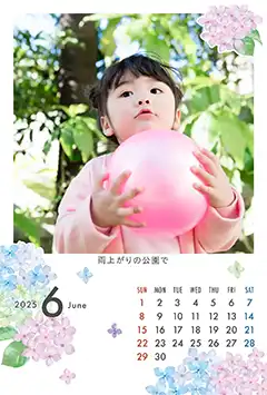 紫陽花（6月）のこよみフォトカレンダーあり