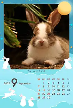 月とうさぎ（9月）のこよみフォトカレンダーあり