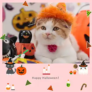 キュートハロウィン（10月）のフォトブック表紙