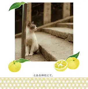 ゆず（2月）のフォトブック表紙（縦写真）