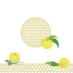 ゆず（2月）のフォトブック裏表紙