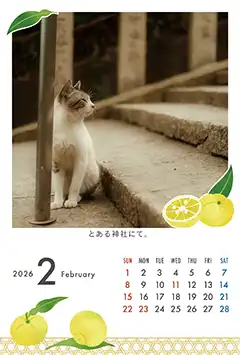 ゆず（2月）のこよみフォトカレンダーあり