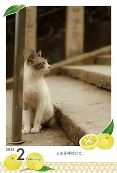 ゆず（2月）のこよみフォトカレンダーなし