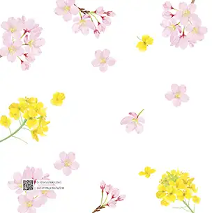 フォトブック裏表紙