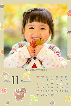 いろいろな秋(11月)のこよみフォトカレンダーあり