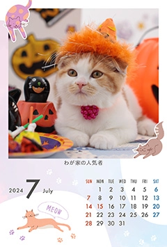 猫のこよみフォトカレンダーあり