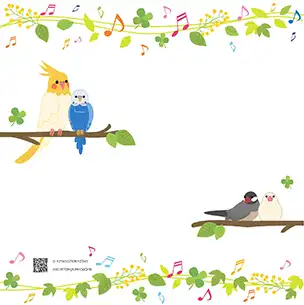 鳥のフォトブック裏表紙