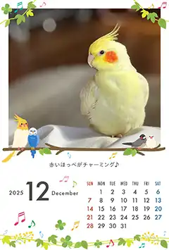 鳥のこよみフォトカレンダーあり