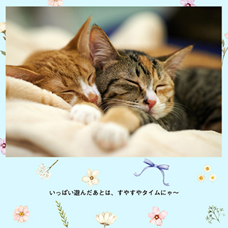 フォトブック表紙（横写真）