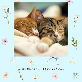 フォトブック表紙（縦写真）