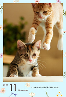 こよみフォト カレンダーなし