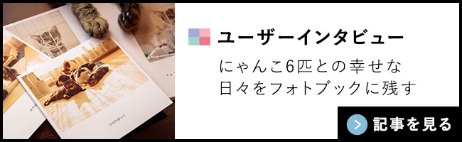 ユーザーインタビュー。にゃんこ6匹との幸せな日々をフォトブックに残す