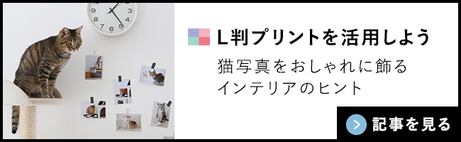 L判プリントを活用しよう。猫写真をおしゃれに飾るインテリアのヒント