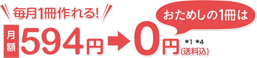月額594円　毎月1回　送料無料　*1*4